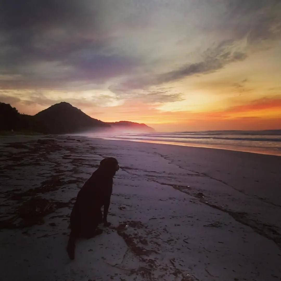 Praia De Itamambuca- Casa Charmosa E Iluminada Ubatuba Eksteriør bilde